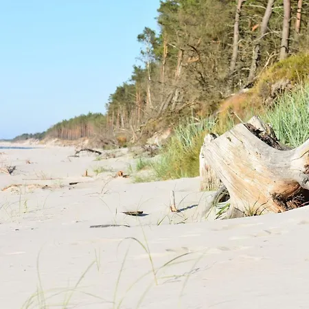 Arkasasino Z Sauna Ogrodowa