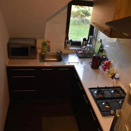 Arkasasino Z Sauna Ogrodowa