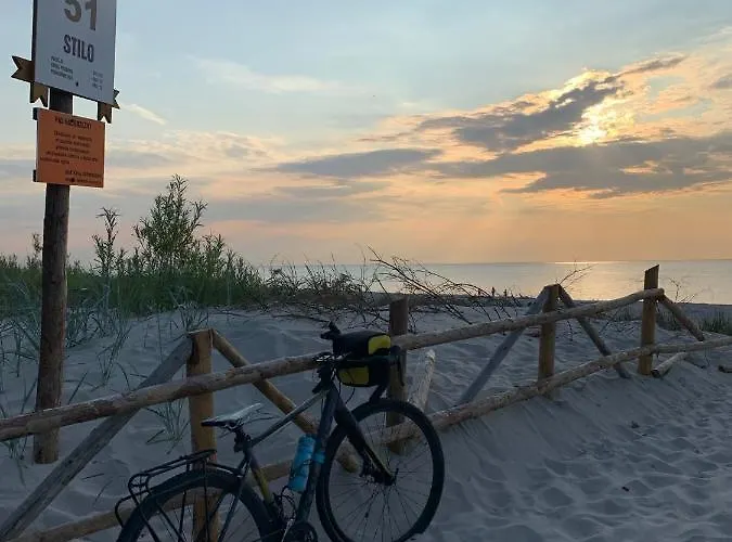 Arkasasino Z Sauna Ogrodowa * Sasino