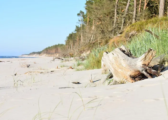 Arkasasino Z Sauna Ogrodowa